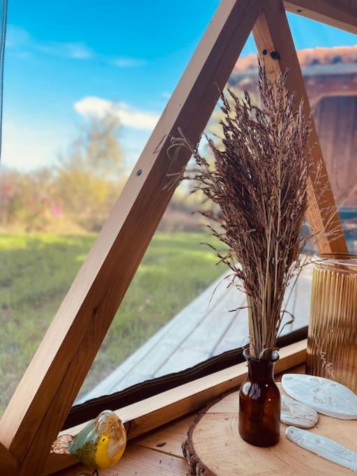 Dome Insolite Cedre Jacuzzi Et Petits Dejeuners Inclus Lagraulet-du-Gers Exteriör bild