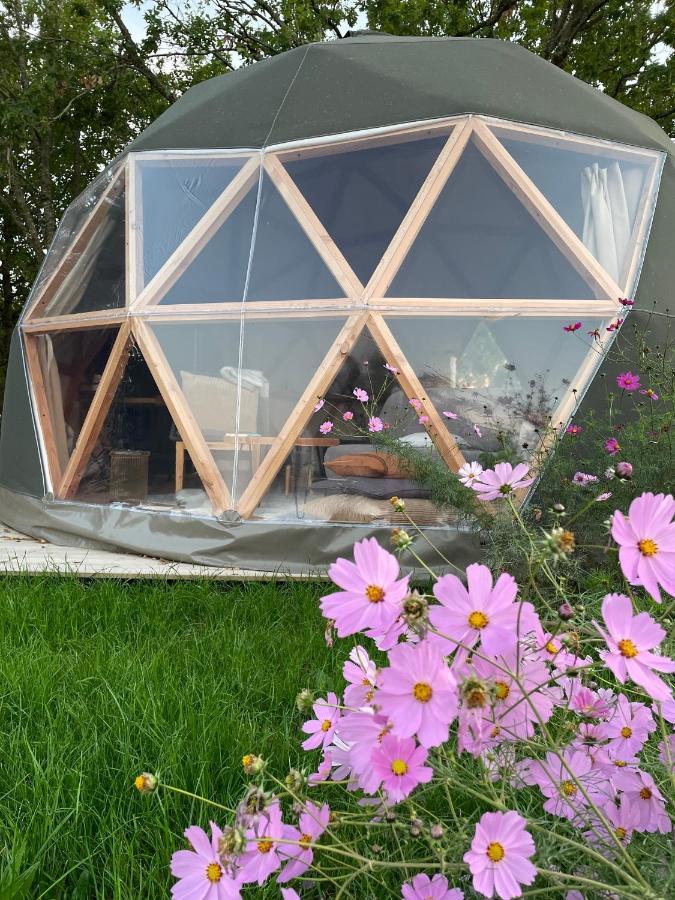 Dome Insolite Cedre Jacuzzi Et Petits Dejeuners Inclus Lagraulet-du-Gers Exteriör bild