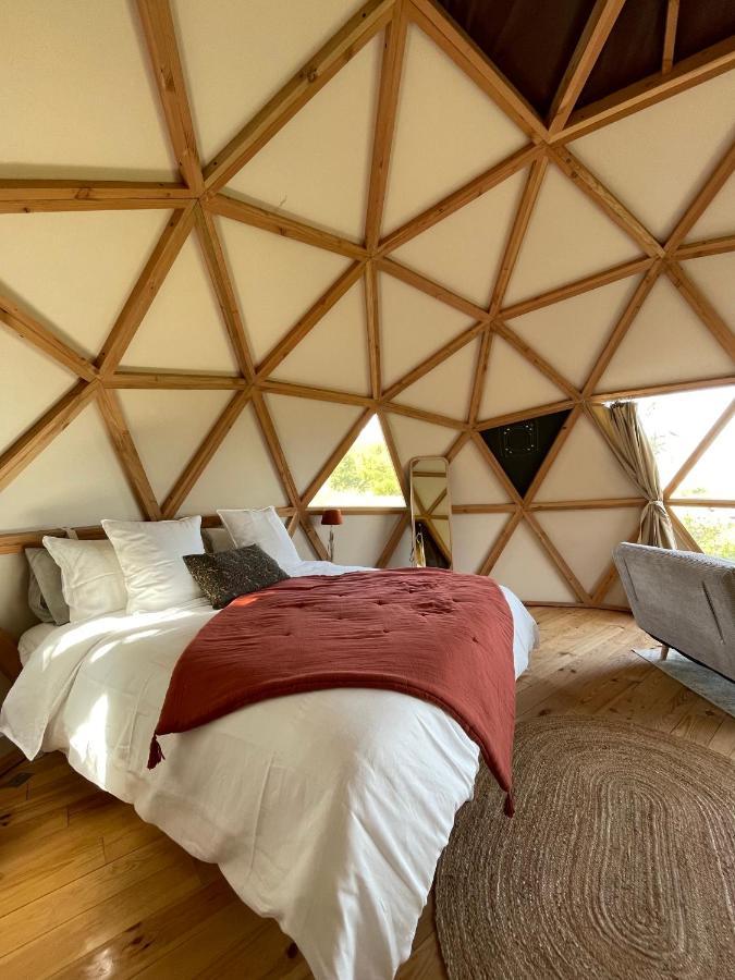 Dome Insolite Cedre Jacuzzi Et Petits Dejeuners Inclus Lagraulet-du-Gers Exteriör bild