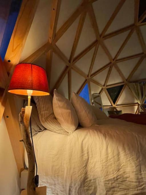 Dome Insolite Cedre Jacuzzi Et Petits Dejeuners Inclus Lagraulet-du-Gers Exteriör bild